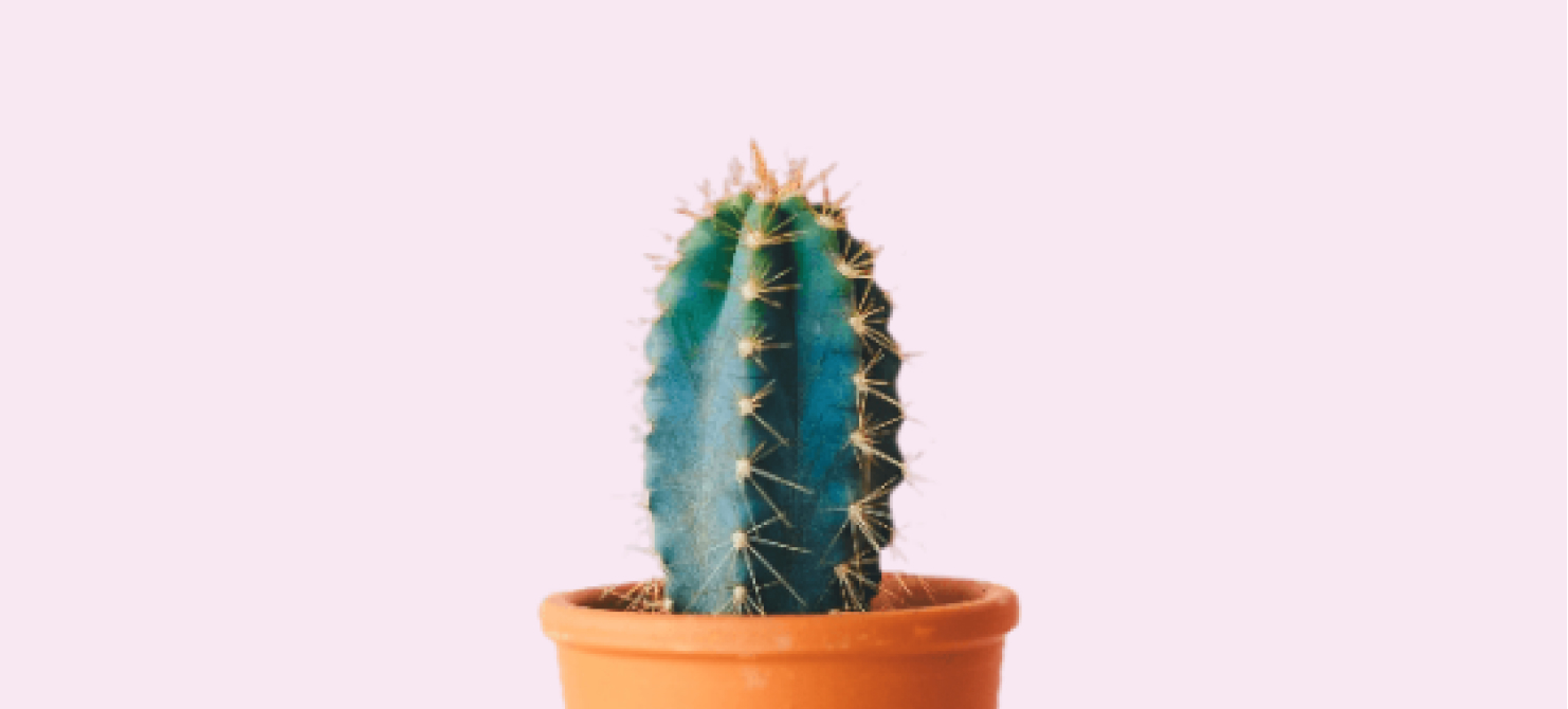 Embracing Minimalism